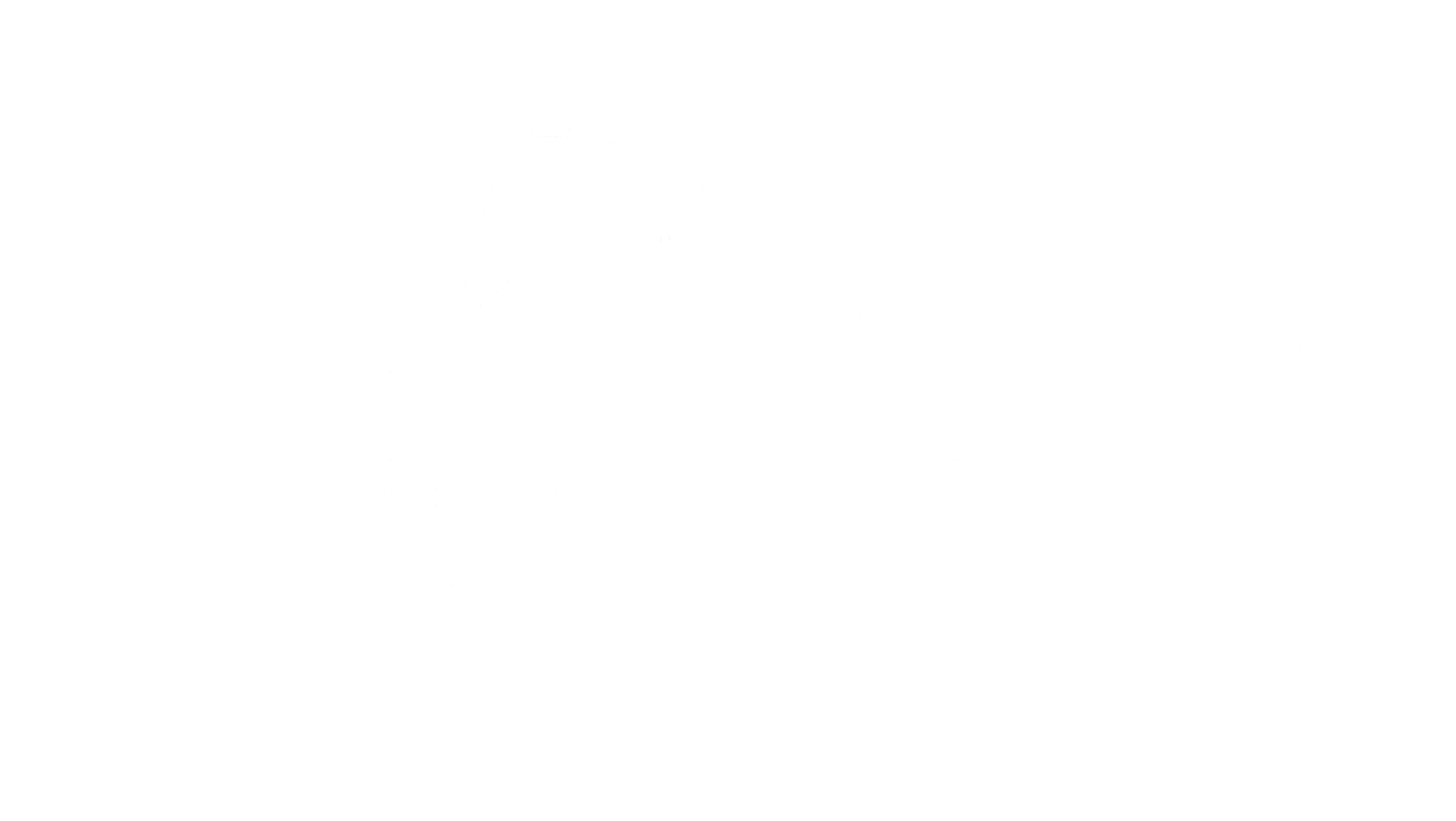 لنورکازمتیک