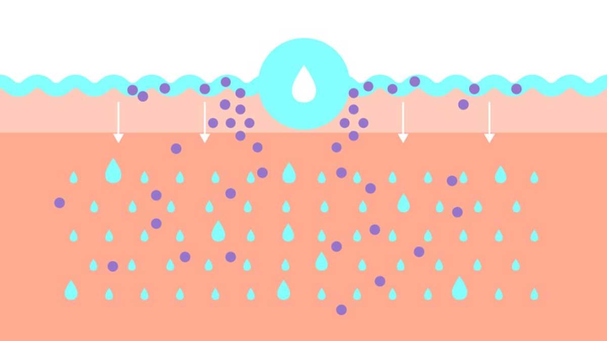 فواید علمی و اثبات‌شده هیالورونیک اسید برای پوست، مو و سلامت کلی